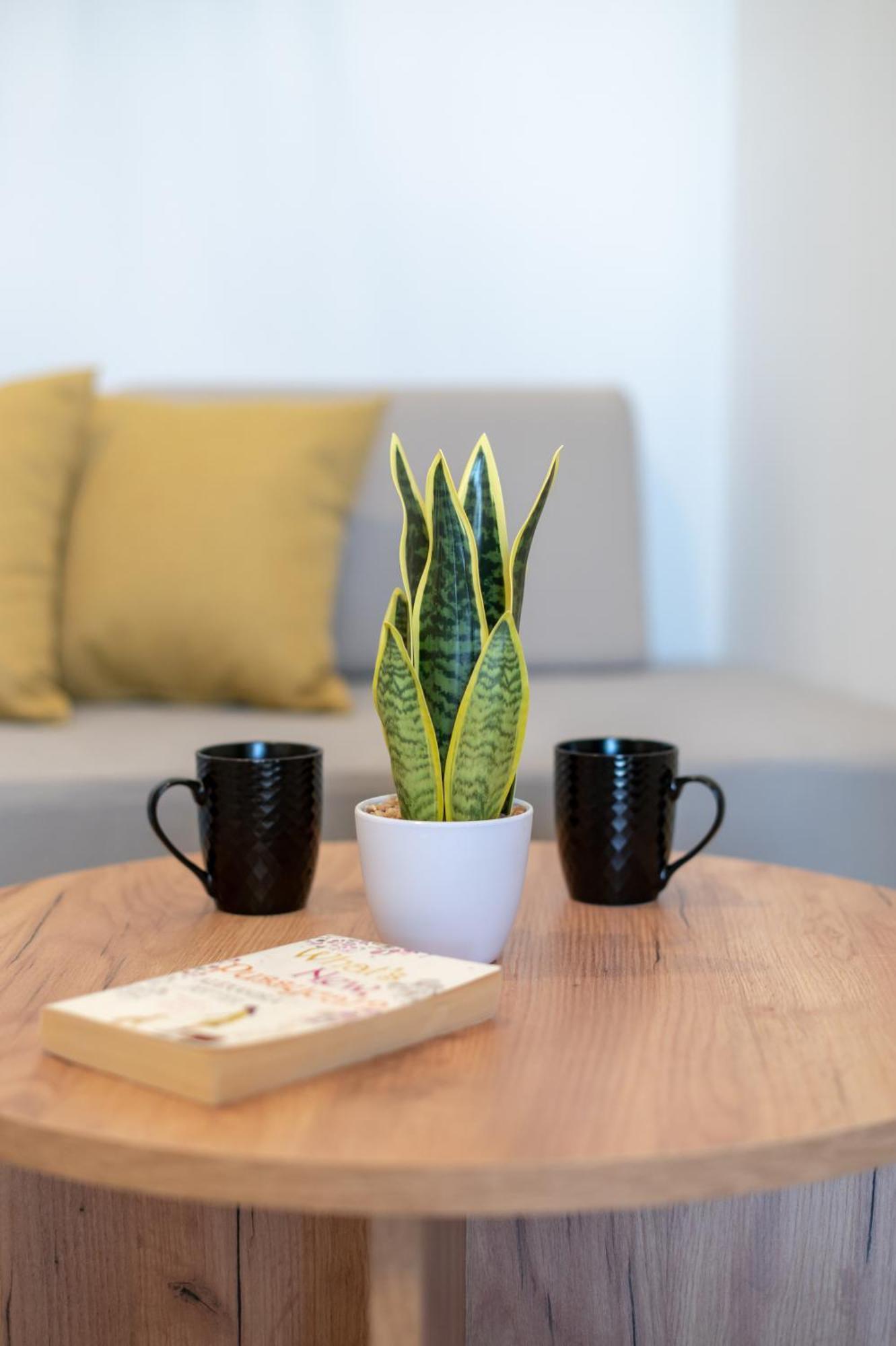 Mardinik Hotel Apartments Rethymno  Ngoại thất bức ảnh